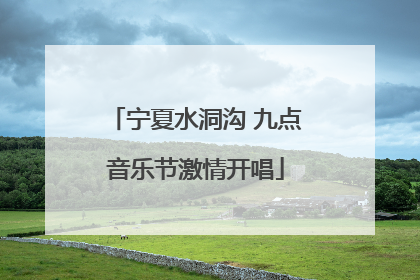 宁夏水洞沟 九点音乐节激情开唱