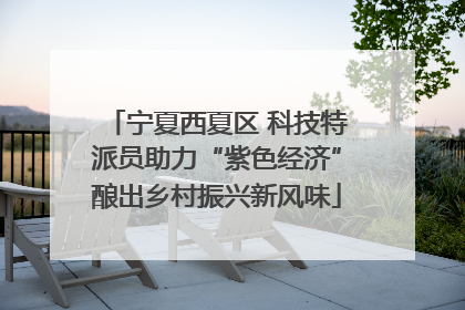 宁夏西夏区 科技特派员助力“紫色经济”酿出乡村振兴新风味