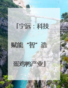 宁远：科技赋能“智”造蛋鸡鸭产业