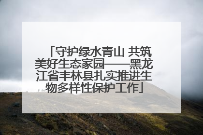 守护绿水青山 共筑美好生态家园——黑龙江省丰林县扎实推进生物多样性保护工作