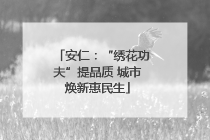 安仁：“绣花功夫”提品质 城市焕新惠民生