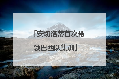 安切洛蒂首次带领巴西队集训