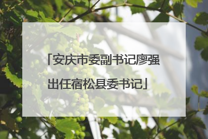 安庆市委副书记廖强出任宿松县委书记