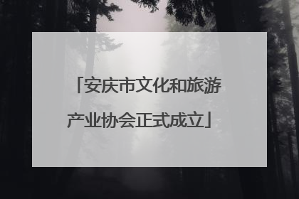 安庆市文化和旅游产业协会正式成立
