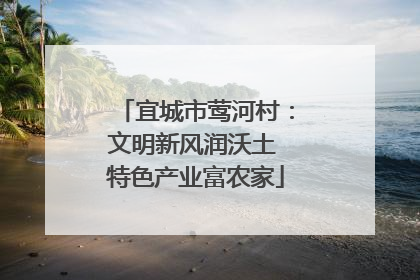 宜城市莺河村：文明新风润沃土 特色产业富农家