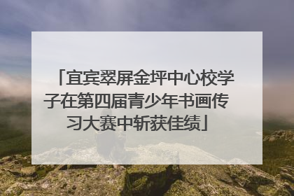 宜宾翠屏金坪中心校学子在第四届青少年书画传习大赛中斩获佳绩