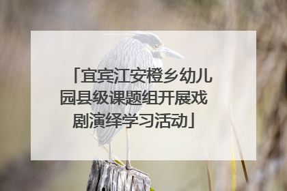 宜宾江安橙乡幼儿园县级课题组开展戏剧演绎学习活动
