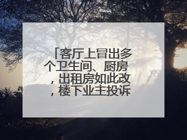 客厅上冒出多个卫生间、厨房，出租房如此改，楼下业主投诉：多少不舒服