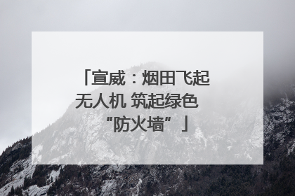 宣威：烟田飞起无人机 筑起绿色“防火墙”