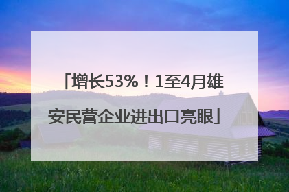 增长53%！1至4月雄安民营企业进出口亮眼