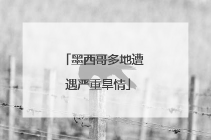 墨西哥多地遭遇严重旱情