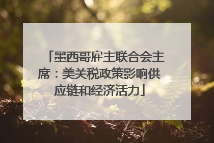 墨西哥雇主联合会主席：美关税政策影响供应链和经济活力