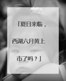 夏日来临，西湖六月黄上市了吗？