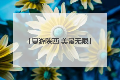 夏游陕西 美景无限