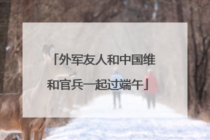 外军友人和中国维和官兵一起过端午