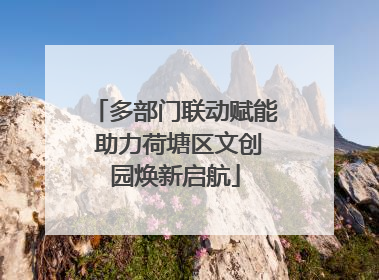 多部门联动赋能 助力荷塘区文创园焕新启航