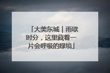 大美东城｜雨歇时分，这里藏着一片会呼吸的绿境