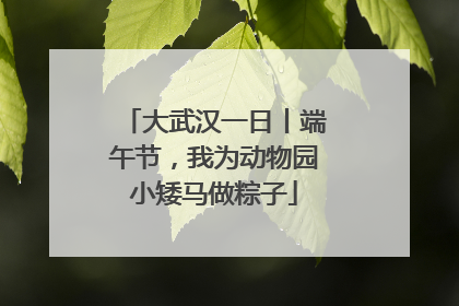 大武汉一日丨端午节，我为动物园小矮马做粽子