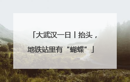大武汉一日丨抬头，地铁站里有“蝴蝶”
