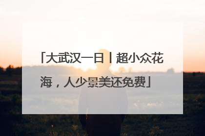 大武汉一日丨超小众花海，人少景美还免费
