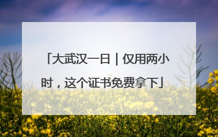 大武汉一日｜仅用两小时，这个证书免费拿下