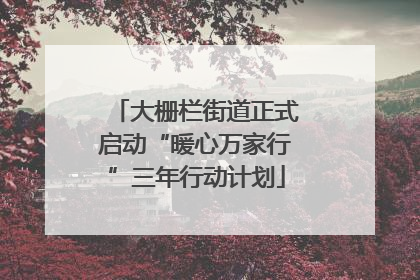 大栅栏街道正式启动“暖心万家行”三年行动计划