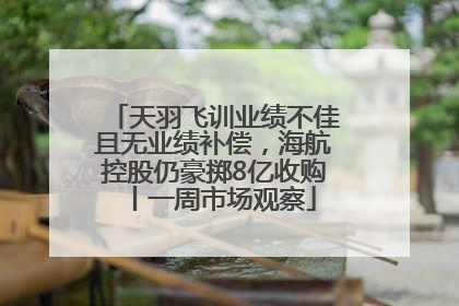 天羽飞训业绩不佳且无业绩补偿，海航控股仍豪掷8亿收购丨一周市场观察