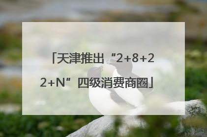 天津推出“2+8+22+N”四级消费商圈