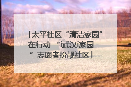 太平社区“清洁家园”在行动 “i武汉i家园”志愿者扮靓社区