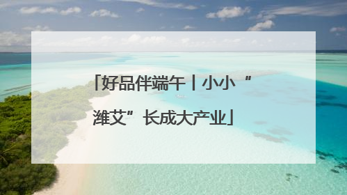 好品伴端午丨小小“潍艾”长成大产业