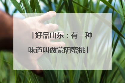好品山东：有一种味道叫做蒙阴蜜桃