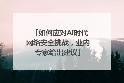 如何应对AI时代网络安全挑战，业内专家给出建议