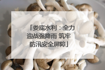 娄底水利：全力迎战强降雨 筑牢防汛安全屏障