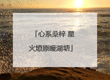 心系桑梓 星火燎原暖湖塘