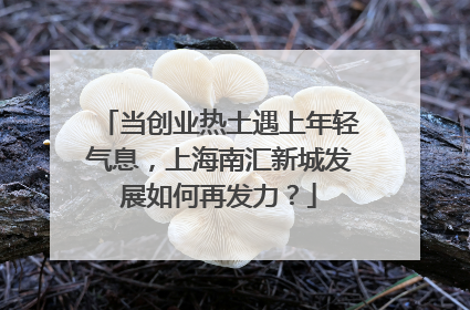 当创业热土遇上年轻气息，上海南汇新城发展如何再发力？