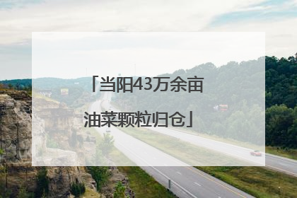当阳43万余亩油菜颗粒归仓
