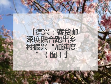 德兴：客货邮深度融合跑出乡村振兴“加速度”（图）