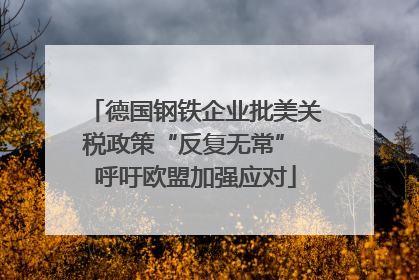 德国钢铁企业批美关税政策“反复无常” 呼吁欧盟加强应对