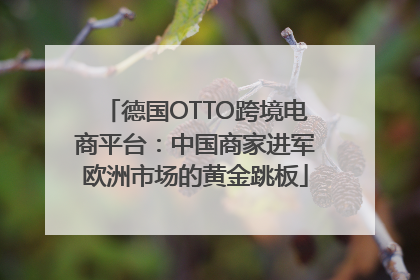 德国OTTO跨境电商平台：中国商家进军欧洲市场的黄金跳板
