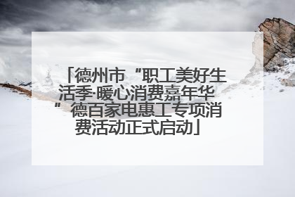 德州市“职工美好生活季·暖心消费嘉年华”德百家电惠工专项消费活动正式启动