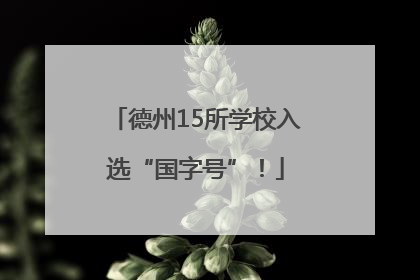 德州15所学校入选“国字号”！