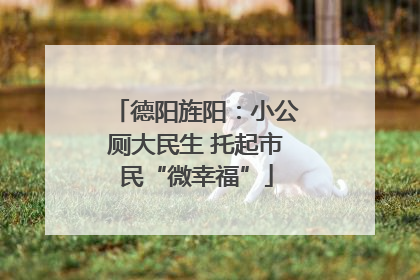 德阳旌阳：小公厕大民生 托起市民“微幸福”