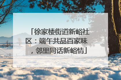 徐家楼街道新峪社区：端午共品百家味，邻里同话新峪情