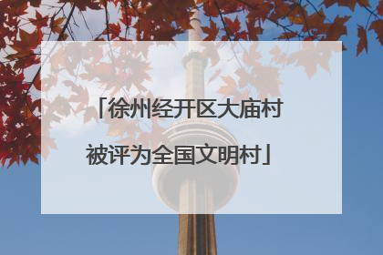 徐州经开区大庙村被评为全国文明村