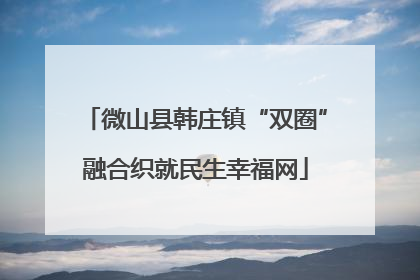 微山县韩庄镇“双圈”融合织就民生幸福网