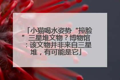 小猫喝水姿势“撞脸”三星堆文物？博物馆：该文物并非来自三星堆，有可能是它