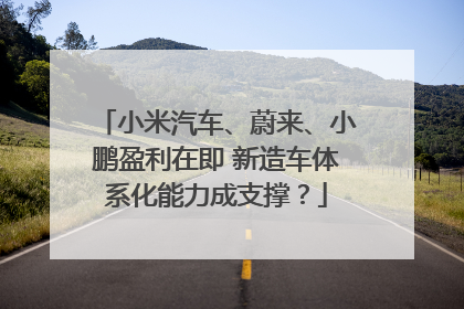 小米汽车、蔚来、小鹏盈利在即 新造车体系化能力成支撑？