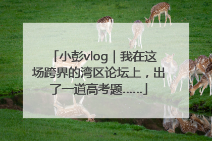 小彭vlog｜我在这场跨界的湾区论坛上，出了一道高考题……