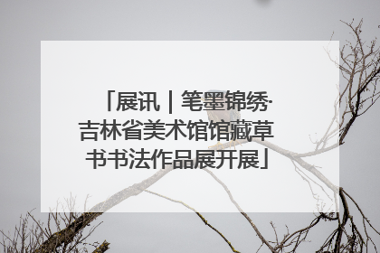 展讯｜笔墨锦绣·吉林省美术馆馆藏草书书法作品展开展