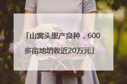 山窝头里产良种，600多亩地增收近20万元